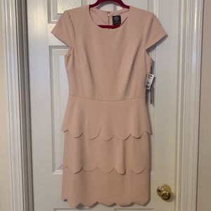 NWT Vince Camuto Blush Cap Sleeved Scalloped Dress